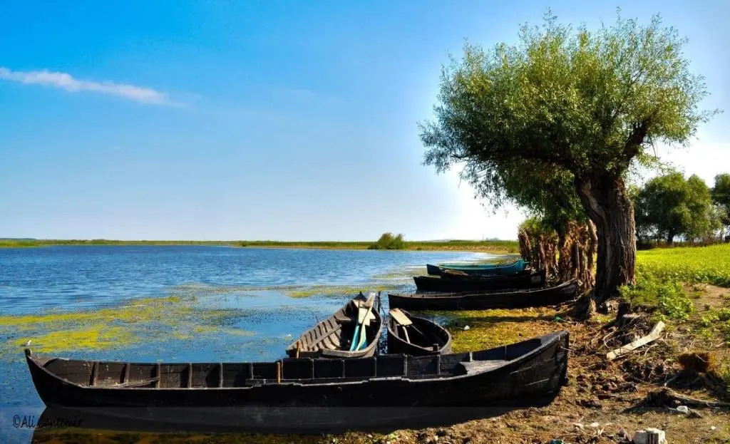Pensiunea Laguna Balteni