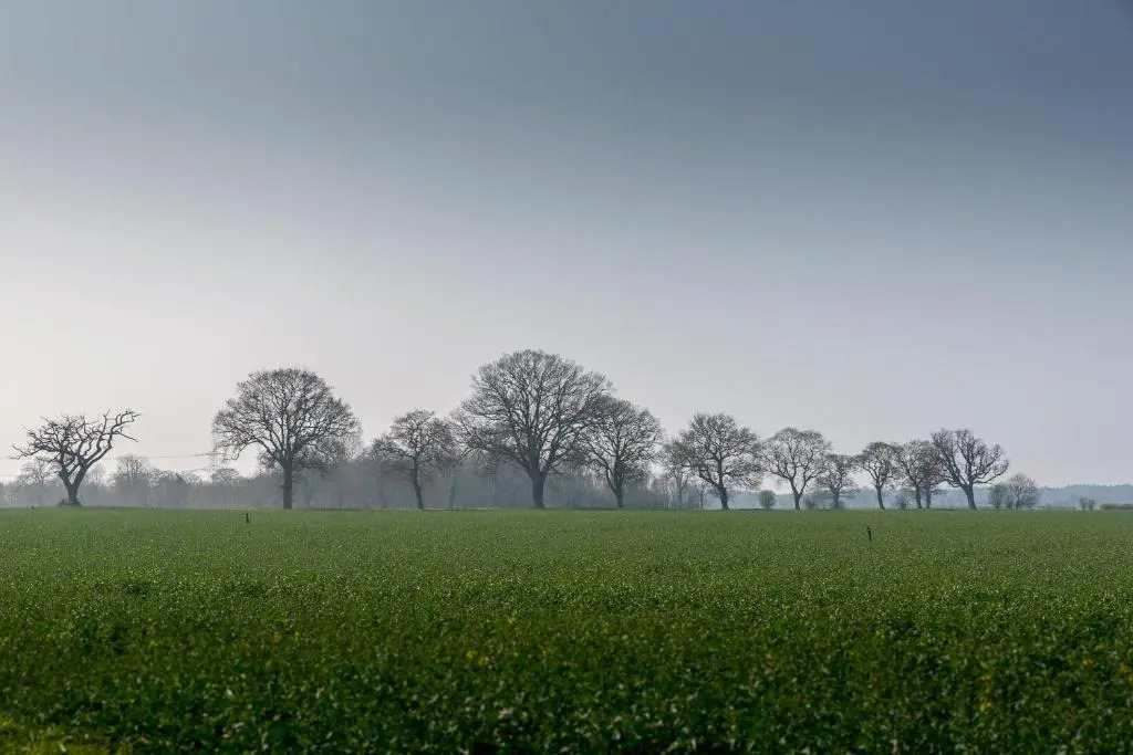 Little Abbey Farm