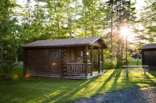 Narrows Too Camping Resort Cabin 1
