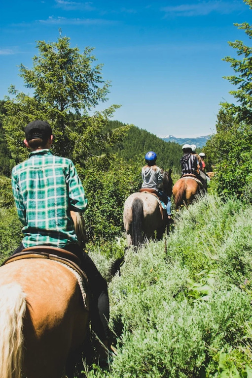 Moose Creek Ranch