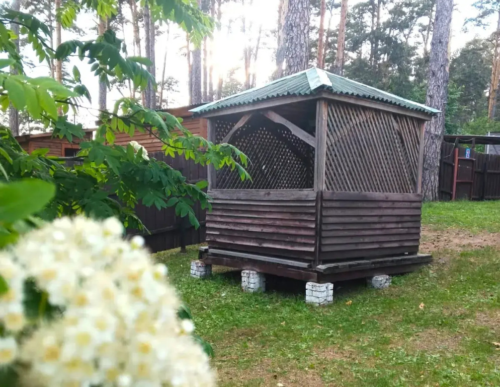Старая башня(Бердск)