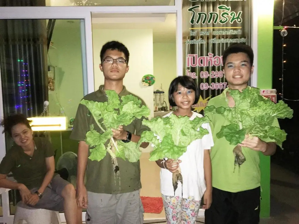 Go Green Resort