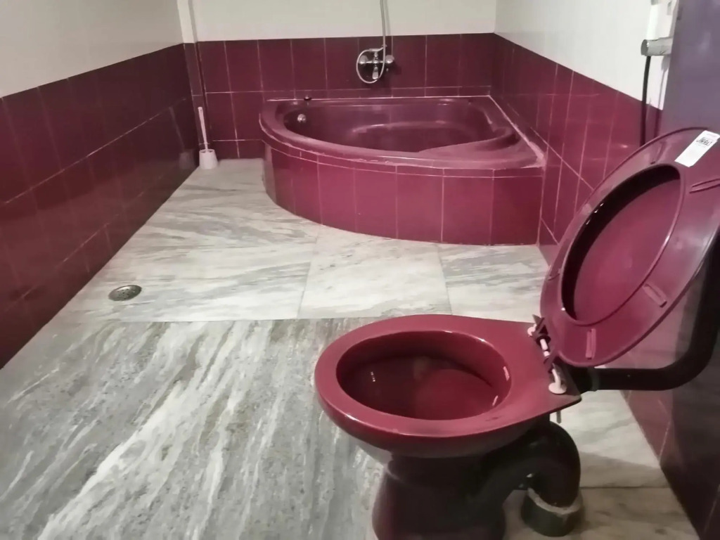 Peace Villa Luxurious 5BHK Siridao Goa Beach