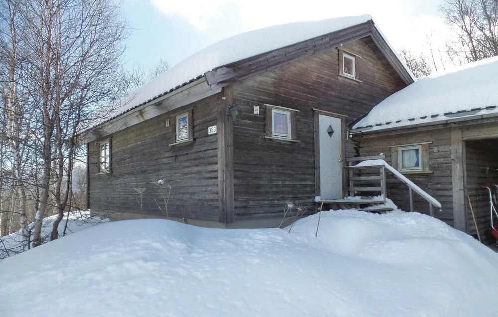 Amazing Home in Geilo With 5 Bedrooms