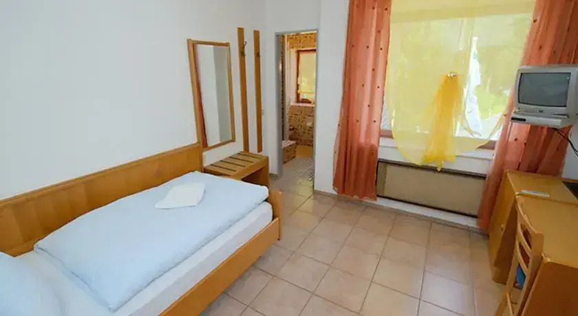 Hotel Eiserner Anton