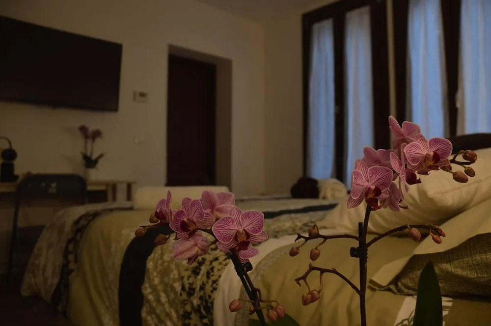 Rialto Suite 707