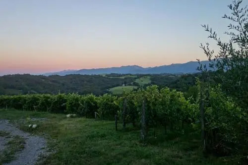Les Cabanes du Clos Claberot