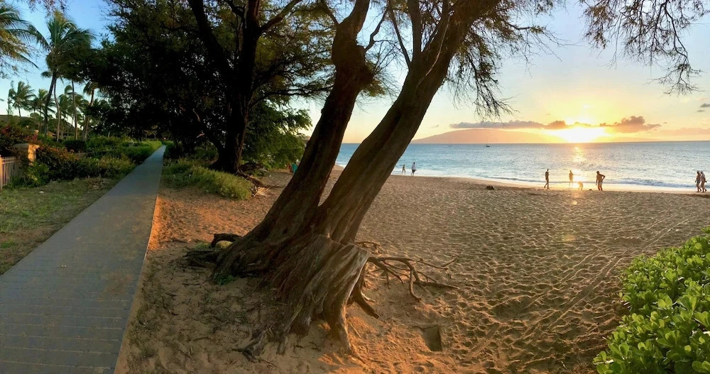 Private Kaanapali Cottage / Walk To The Beach/Serene Gardens cottage