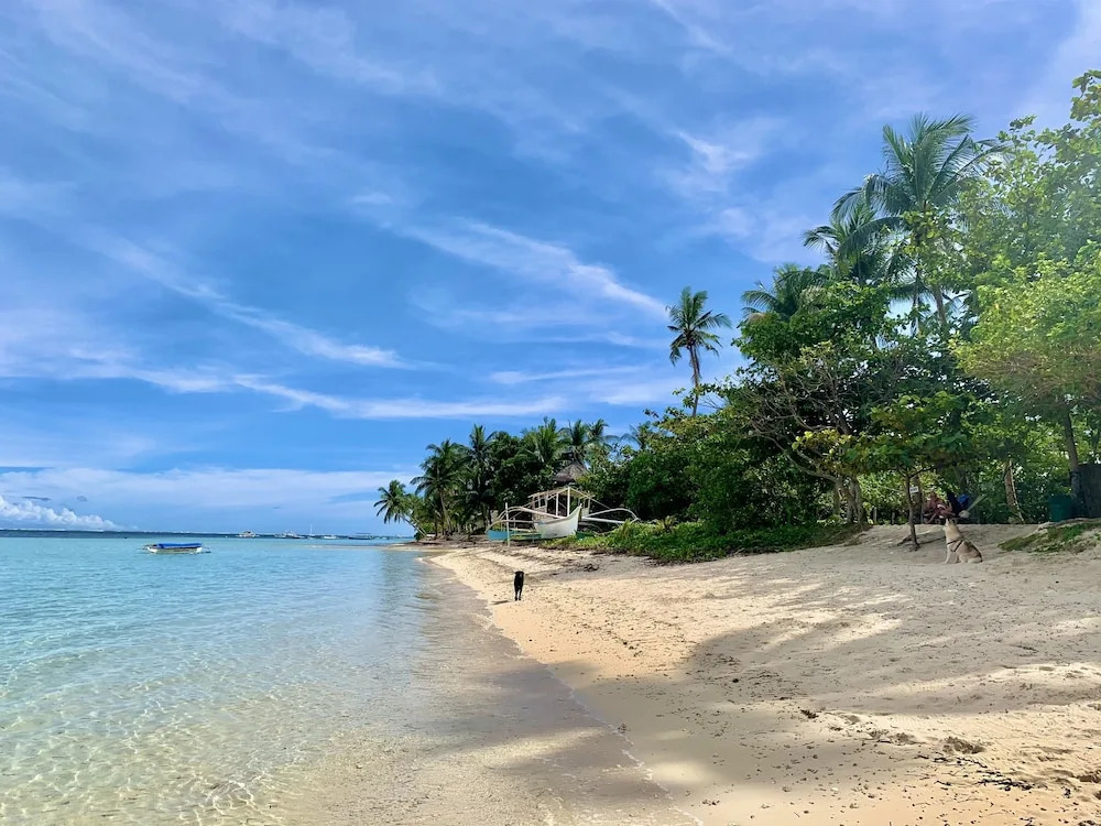 Triangle Palms Siargao