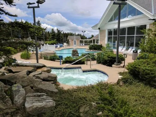 Snowshoe Condo Unit 333
