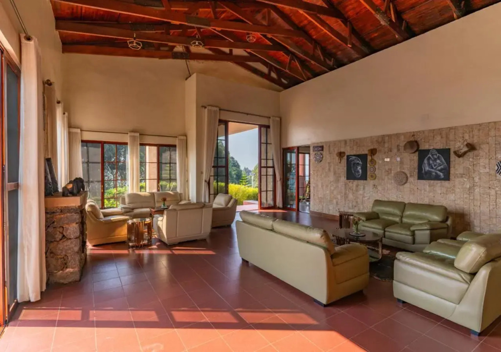 Gorilla Heights Lodge by NEWMARK