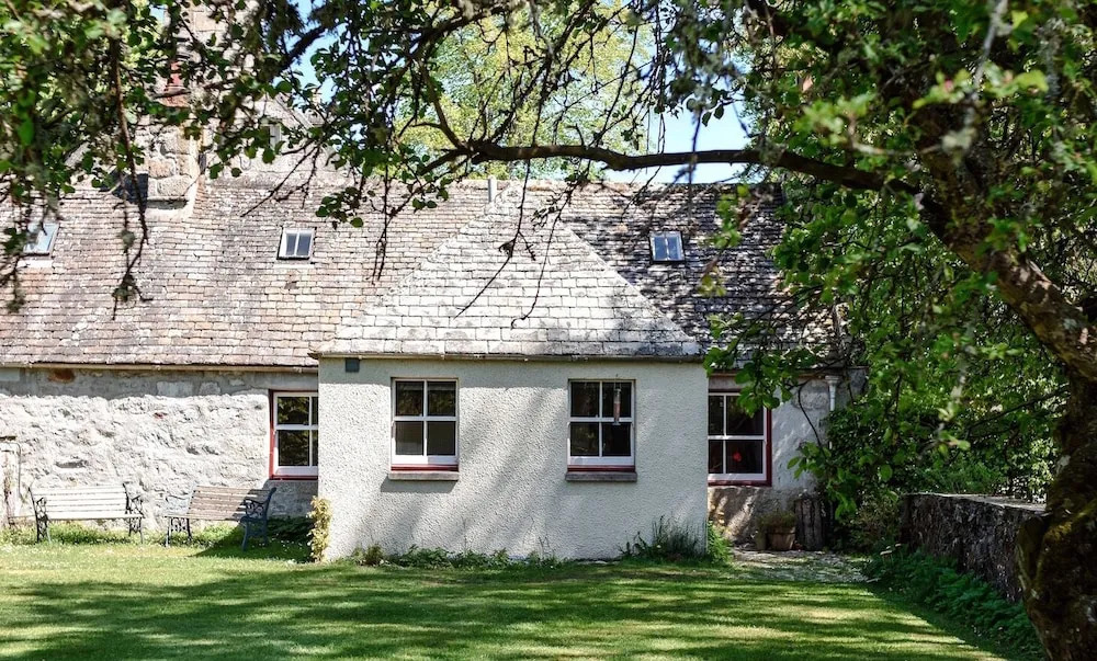 The Dell of Abernethy - A Woodland hideaway