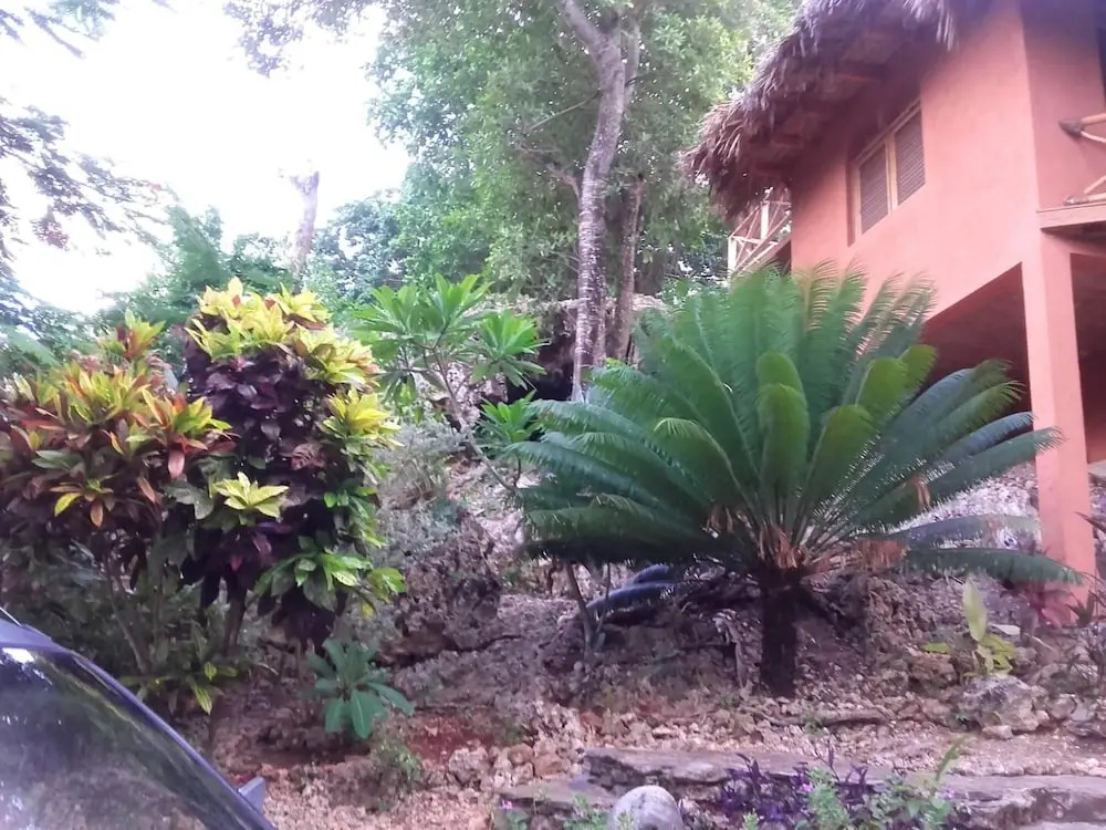 House With 3 Bedrooms in Las Galeras, With Wonderful sea View, Enclosed Garden and Wifi Near the Beach