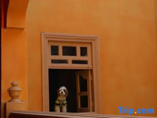 Modong Guesthouse(Kashgar Old Town Branch)