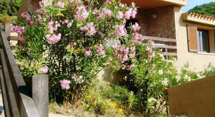Casa Oleandro