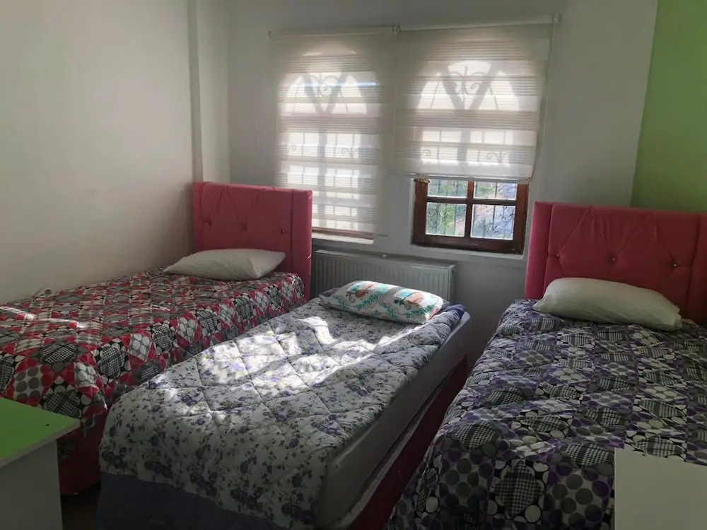 loopy lodge hotel