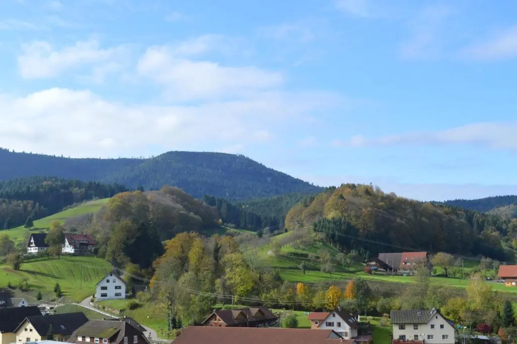 Ferienwohnungen im Renchtal