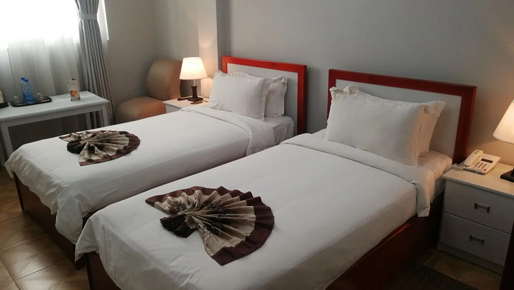 New Vision Addis Hotel
