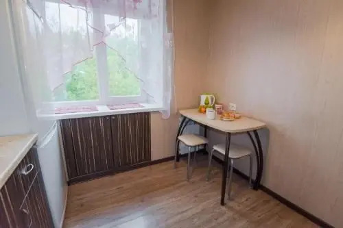 Nine Nights Apartmens On Kalinina 48