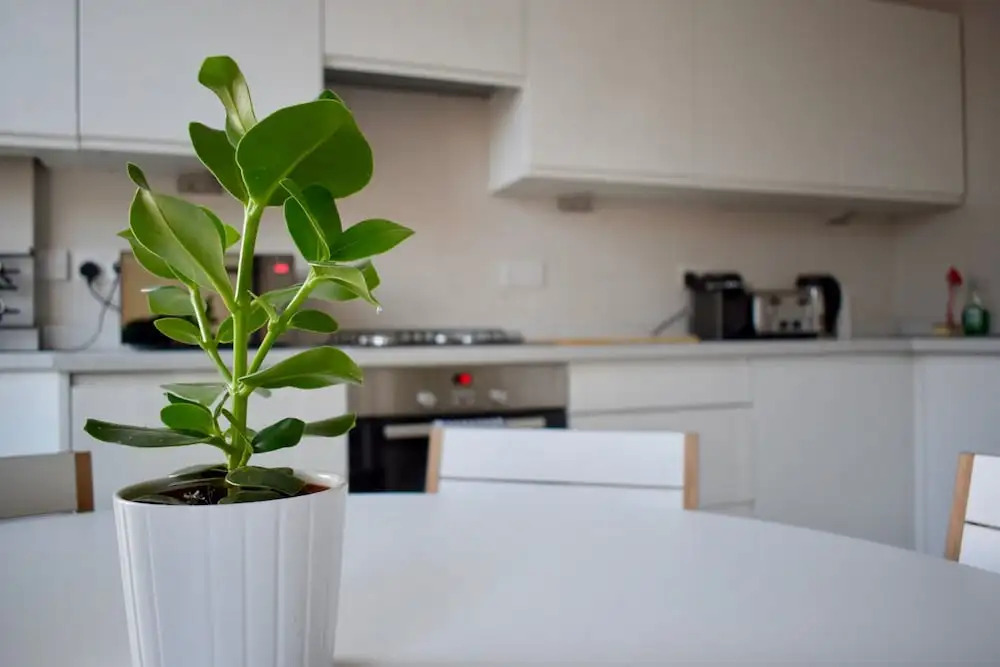 1 Bedroom Flat in Lower Clapton
