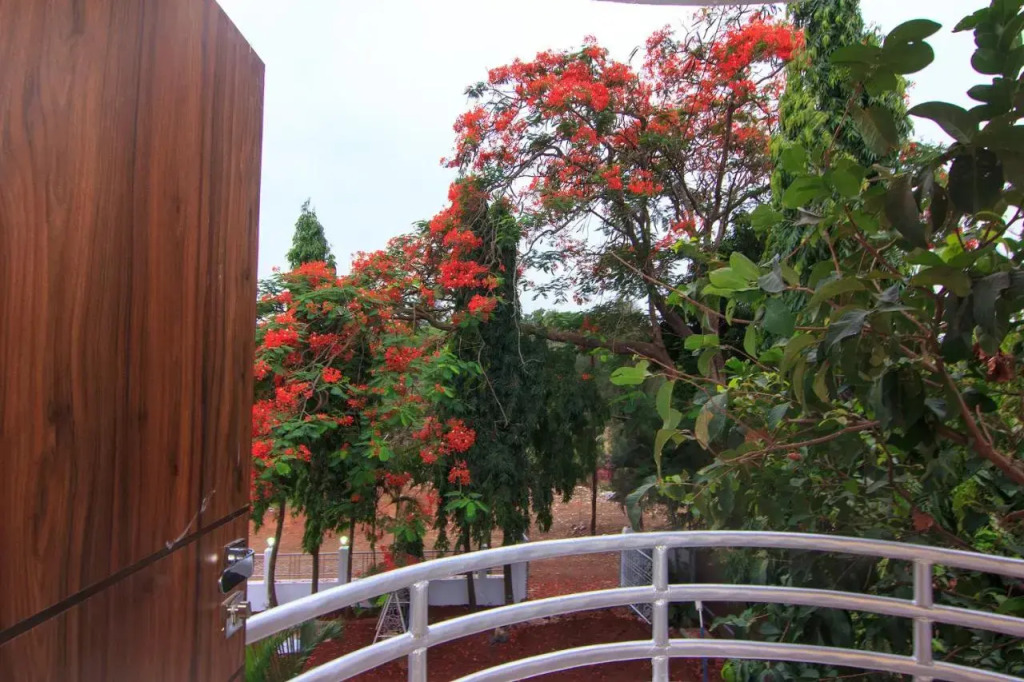 Strand Resort