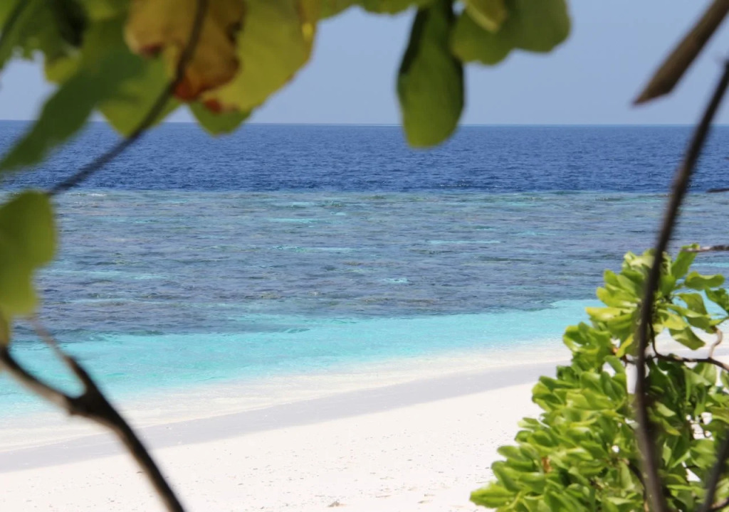 Dhivehi Experience