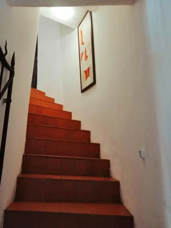 House With 3 Bedrooms in Anadia, With Wonderful Mountain View, Enclosed Garden and Wifi