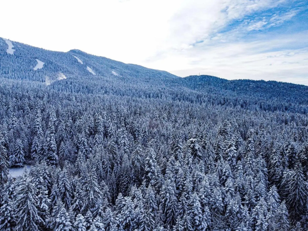 MAGRI Luxurious Apartment A42 Borovets Gardens
