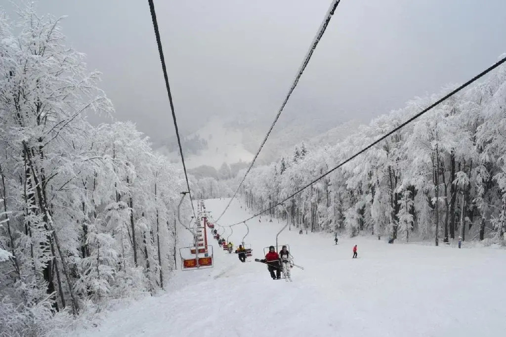 Cabane Cota 1000