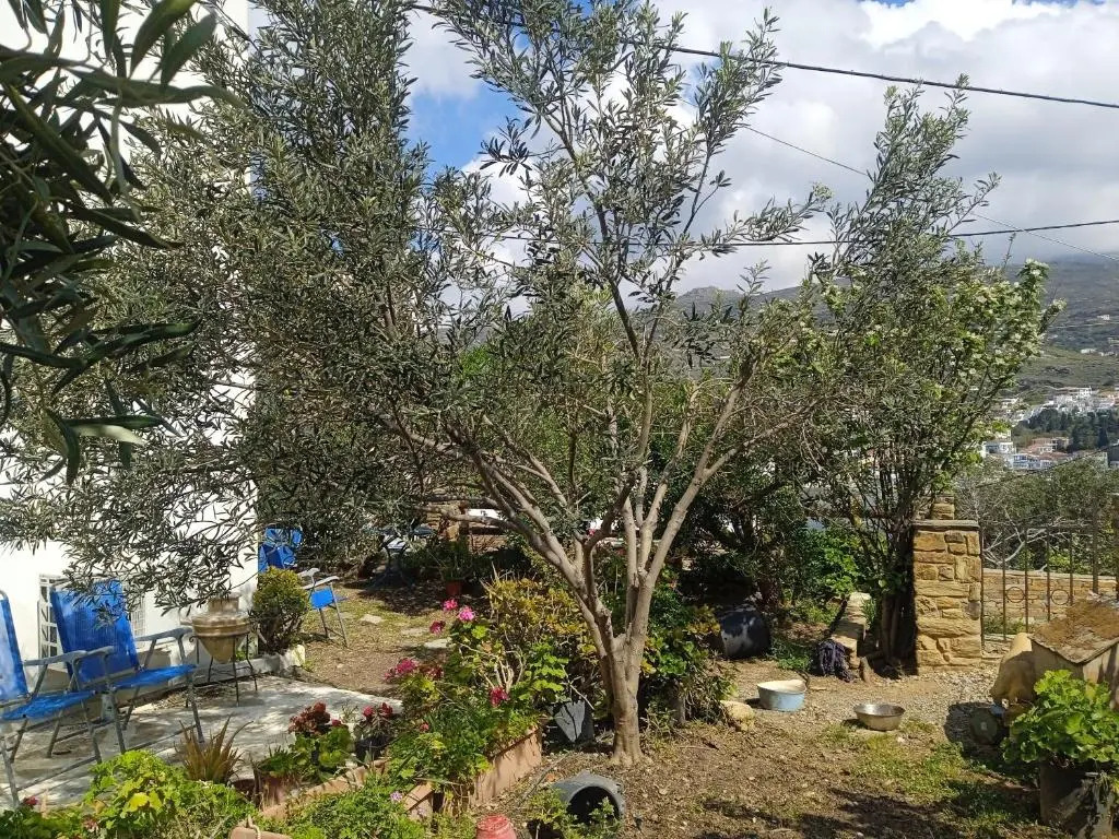 Villa Athina 2