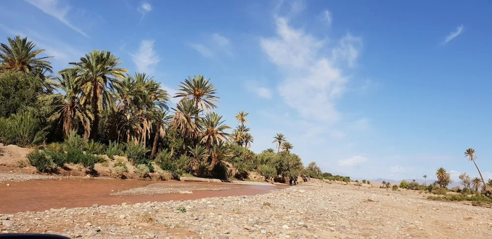 Gite Kasbah La Palmeraie