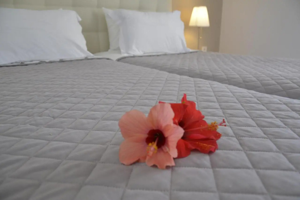 Scala Apartments