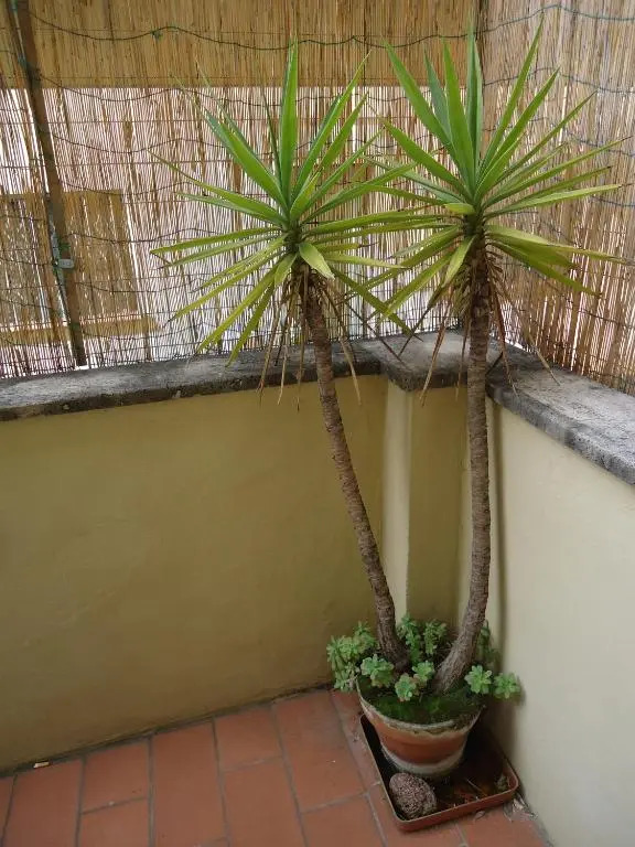 Appartamento con terrazza