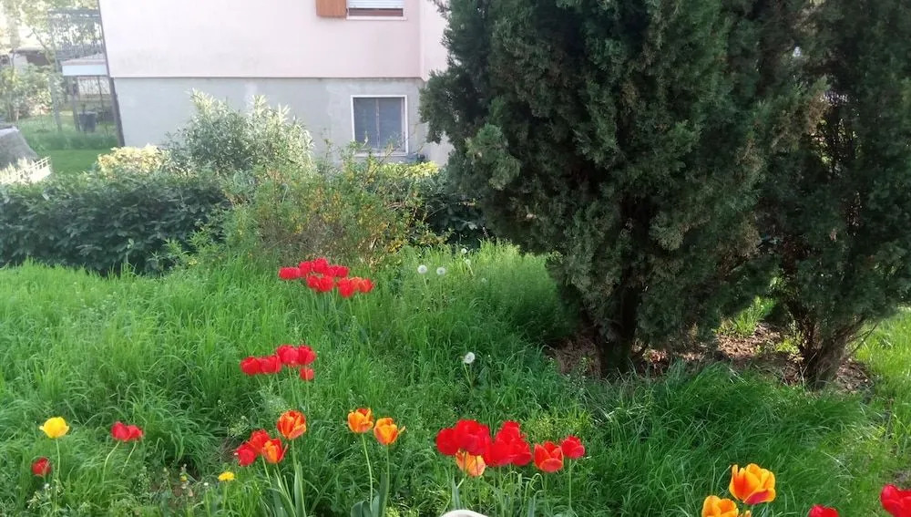 GuestHouse La Villa