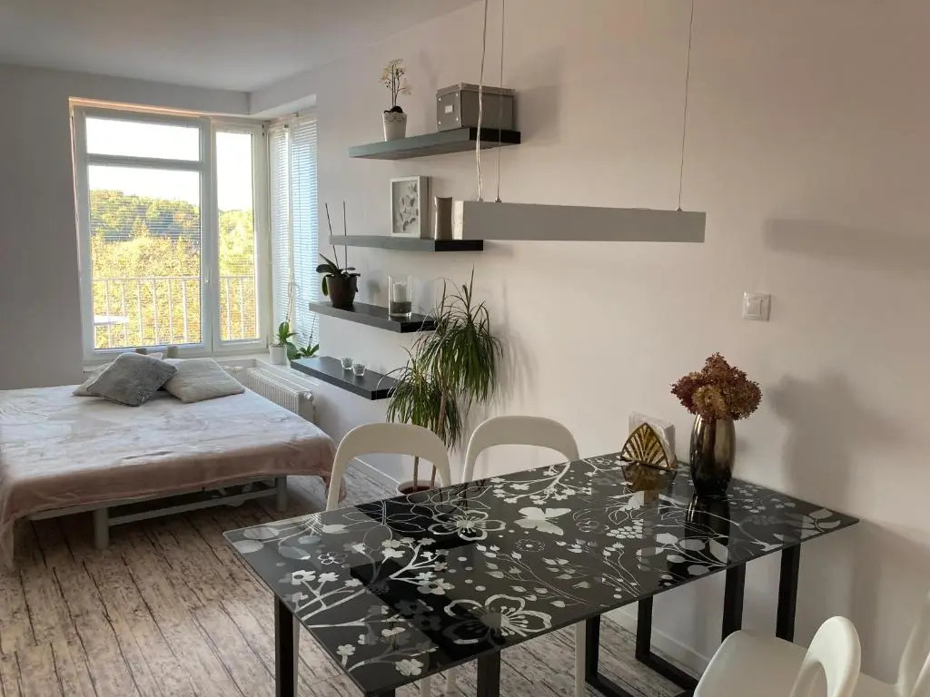 Apartment Husova