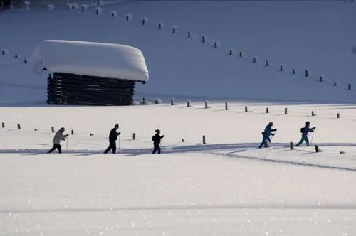 Alpen Chalet Jagdhof