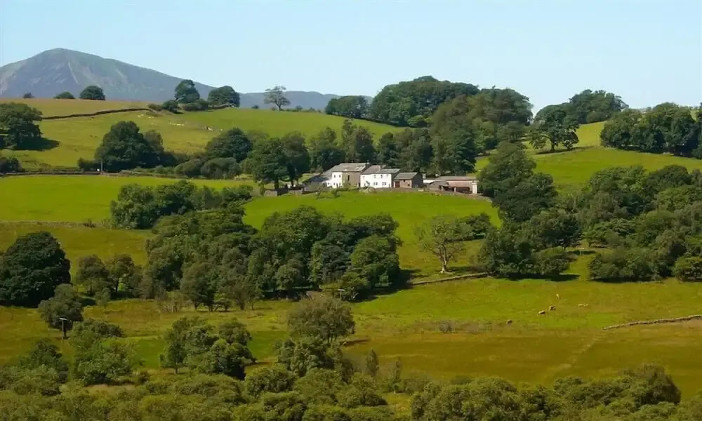 Nest Barn