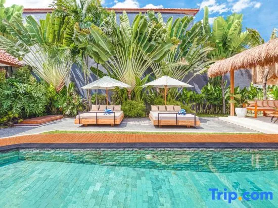 Villa Belize - Lush 4BDR villa rooftop terrace