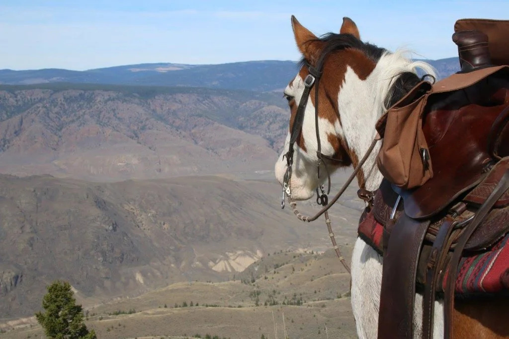 YD Guest Ranch