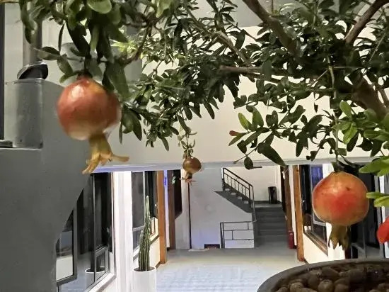 Zhangjiajie Borui Courtyard Hotel (Tianmen Mountain)