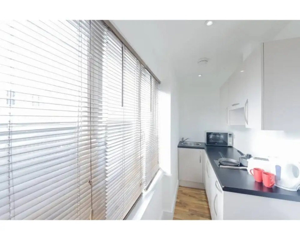 Global Sanctuary Suite (10)
