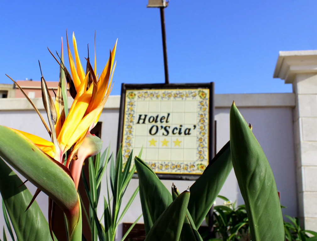 Hotel Oscià