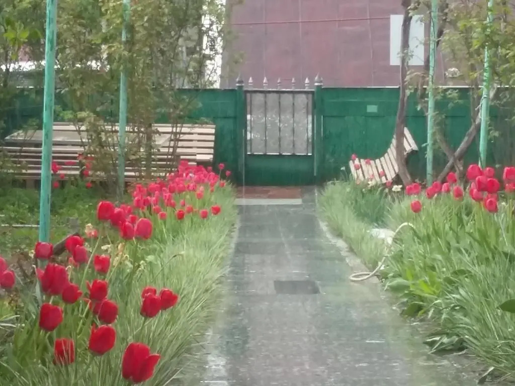 Emmas Guesthouse in Borjomi