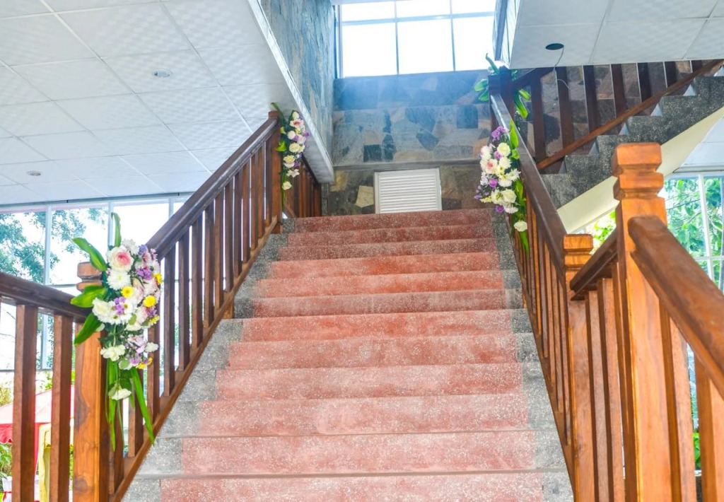 Hotel Lion Nature