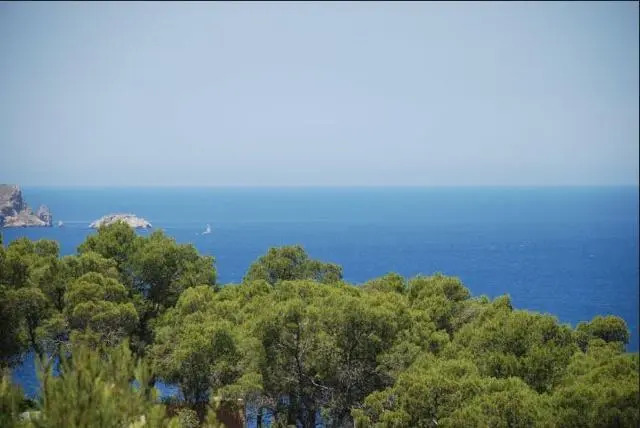 Large Villa on Ibiza West Coast with pool & sunset view - Nirvana