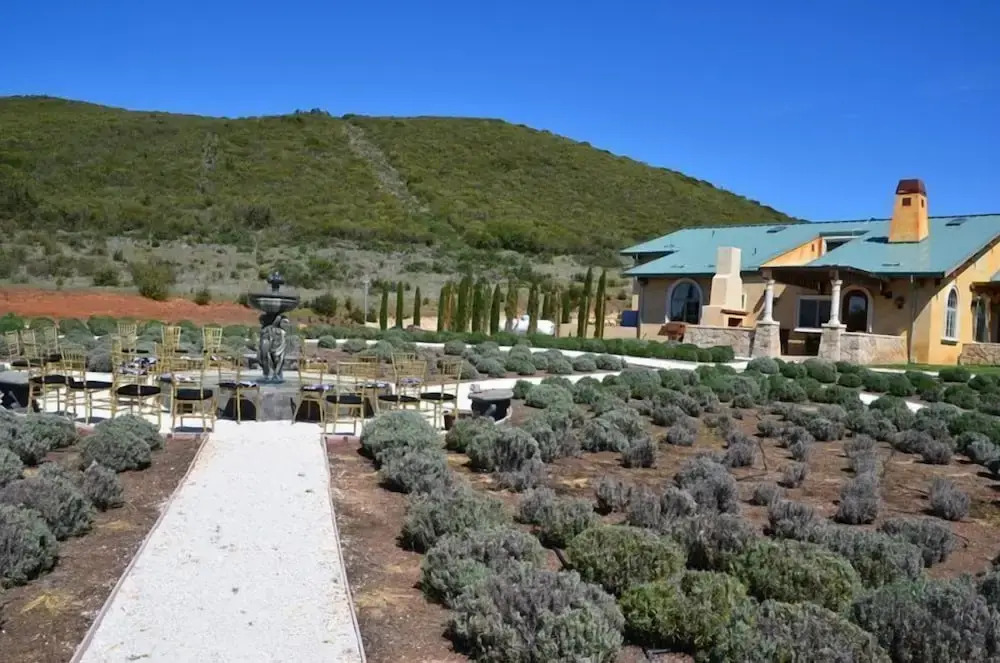 Thorn Hill Vineyards Villa Suites