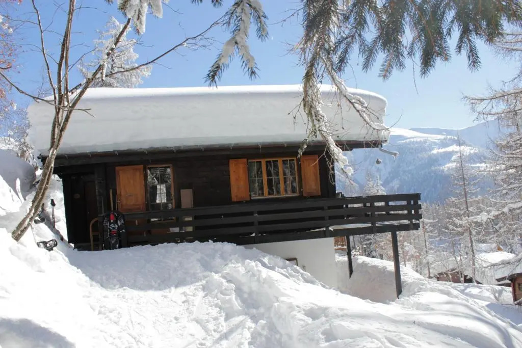 Waldhuesli