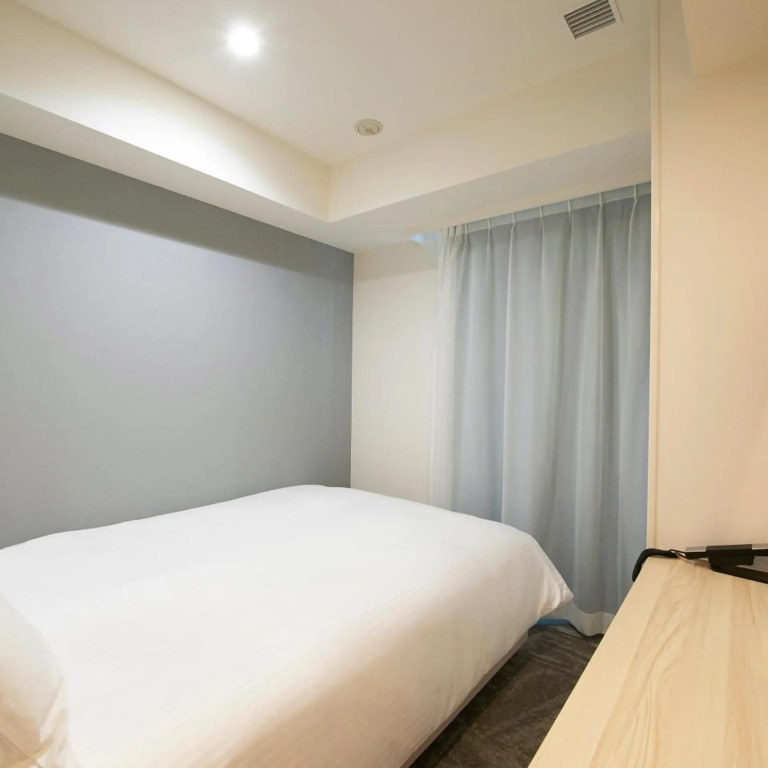 Sotetsu Fresa Inn Ueno-Okachimachi