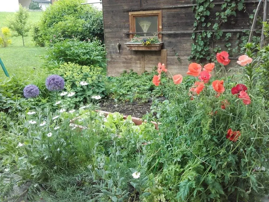 Haus Holaus Helga