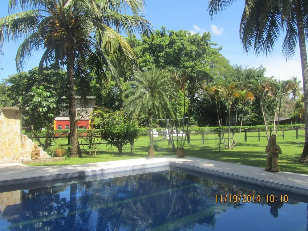 spirit of jungle lodge